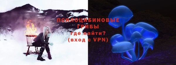 молекула духа Заводоуковск