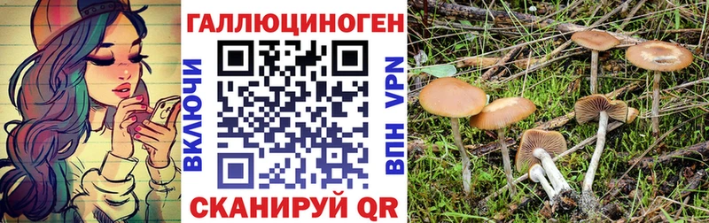 Купить закладки  Клин  Галлюциногенные грибы ЛСД 